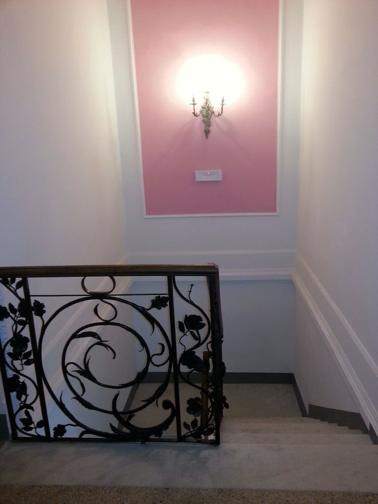 Фото Little Garden Donatello