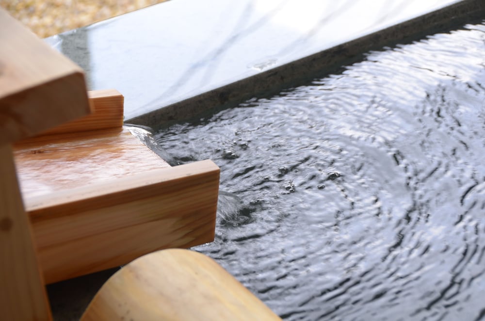 Фото Hakone Kowakien Mikawaya Ryokan