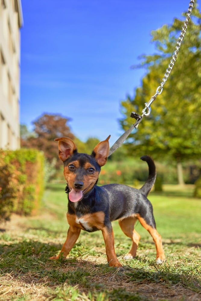 Фото Ibis budget Antwerpen Port