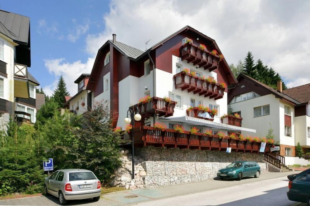 Фото Pension Alba