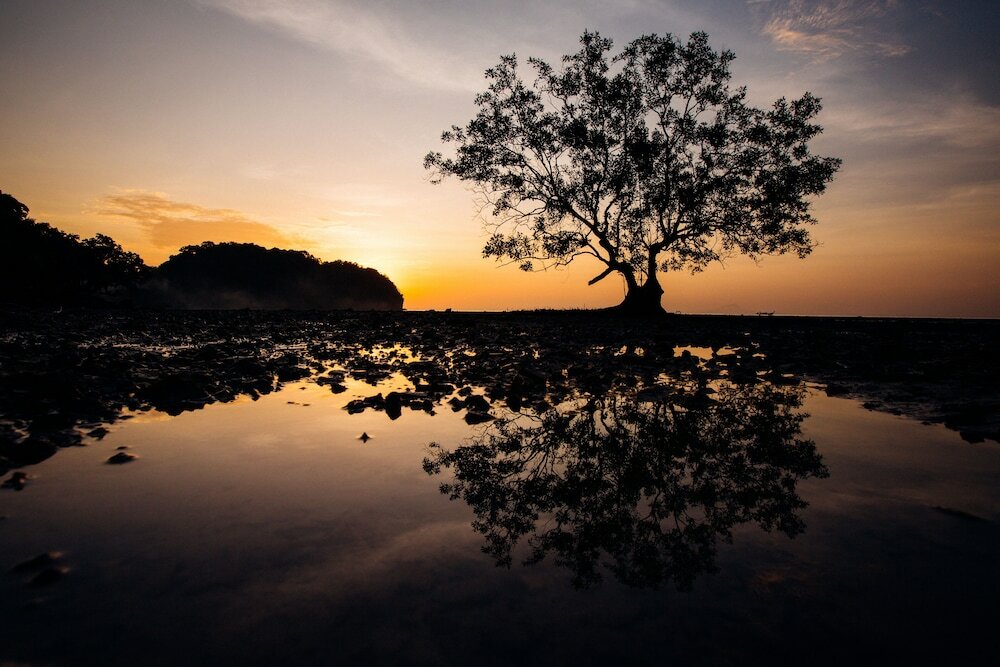 Фото Railay Garden View Resort