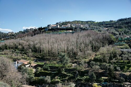 Внешний вид отеля Agriturismo Oleum в Масса-Лубренсе, фото 5