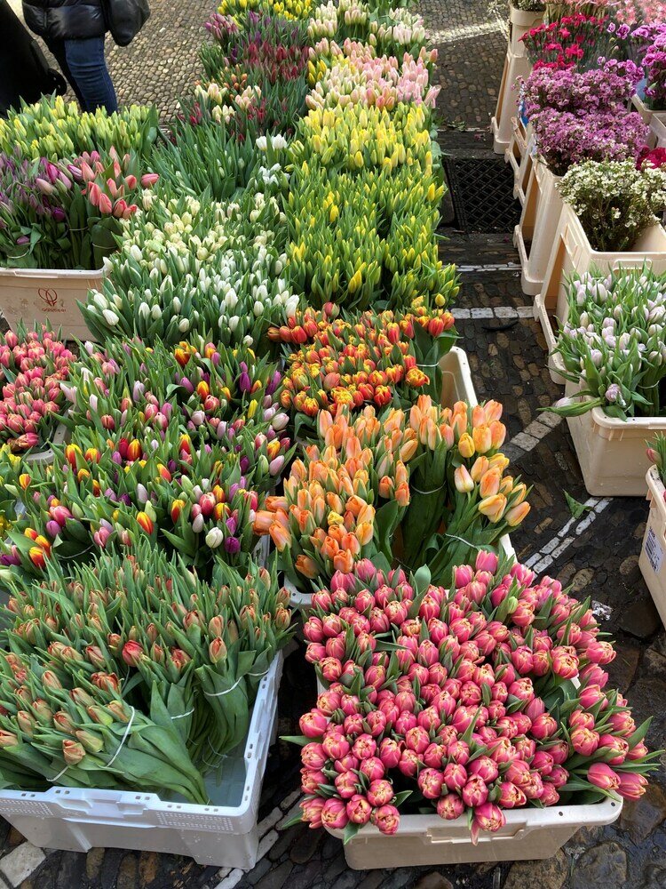 Фото City Hotel Freiburg