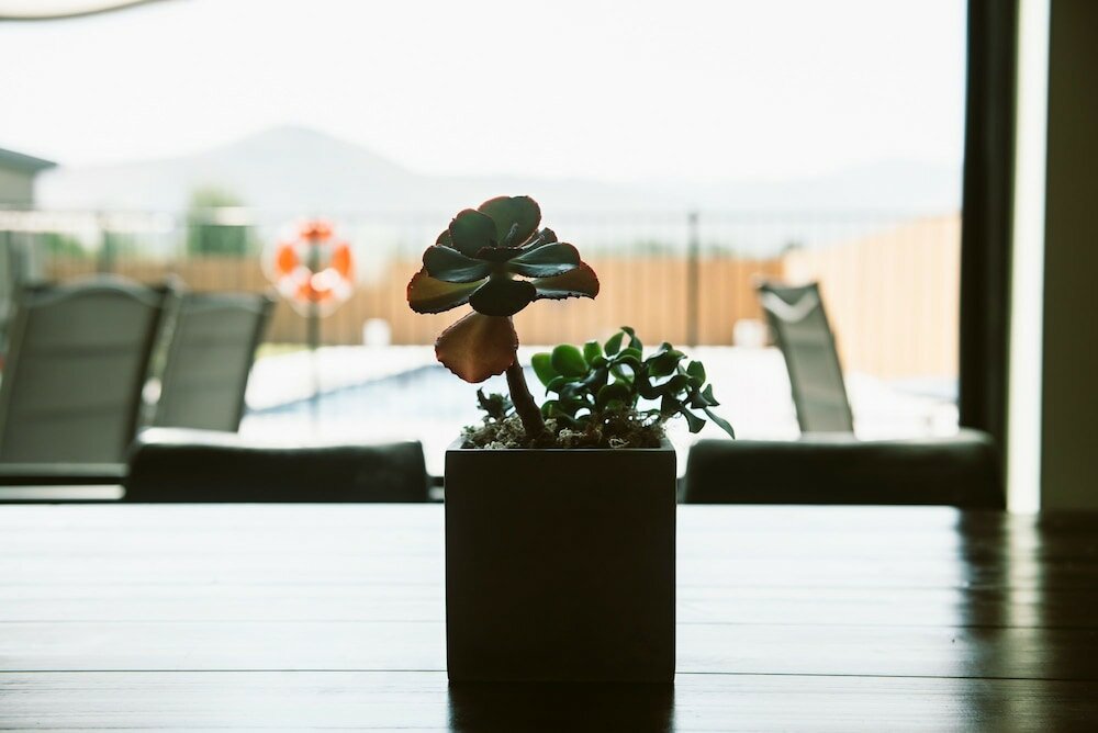 Фото Silver Creek Hotel