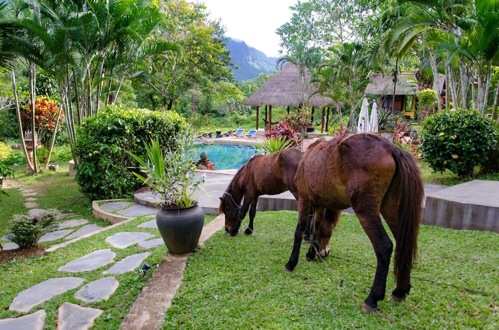 Фото Hillside - Nature Lifestyle Lodge