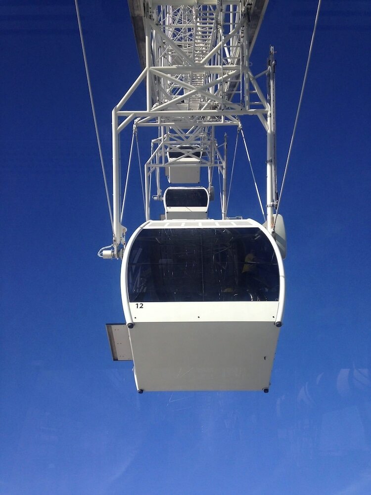 Фото Holiday Inn Orlando International Airport, an Ihg Hotel