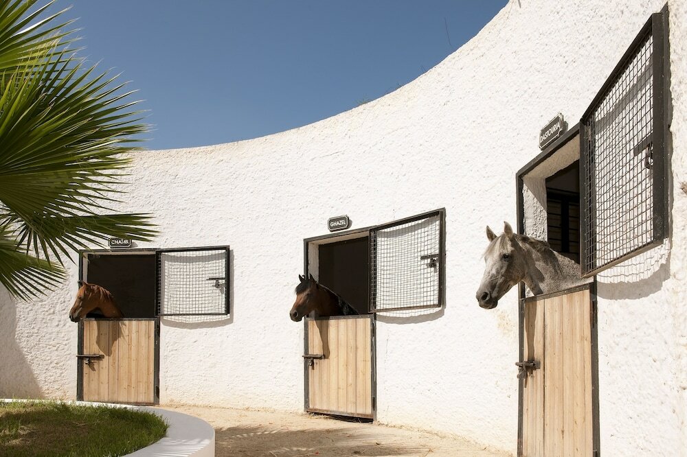 Фото Sentido Phenicia