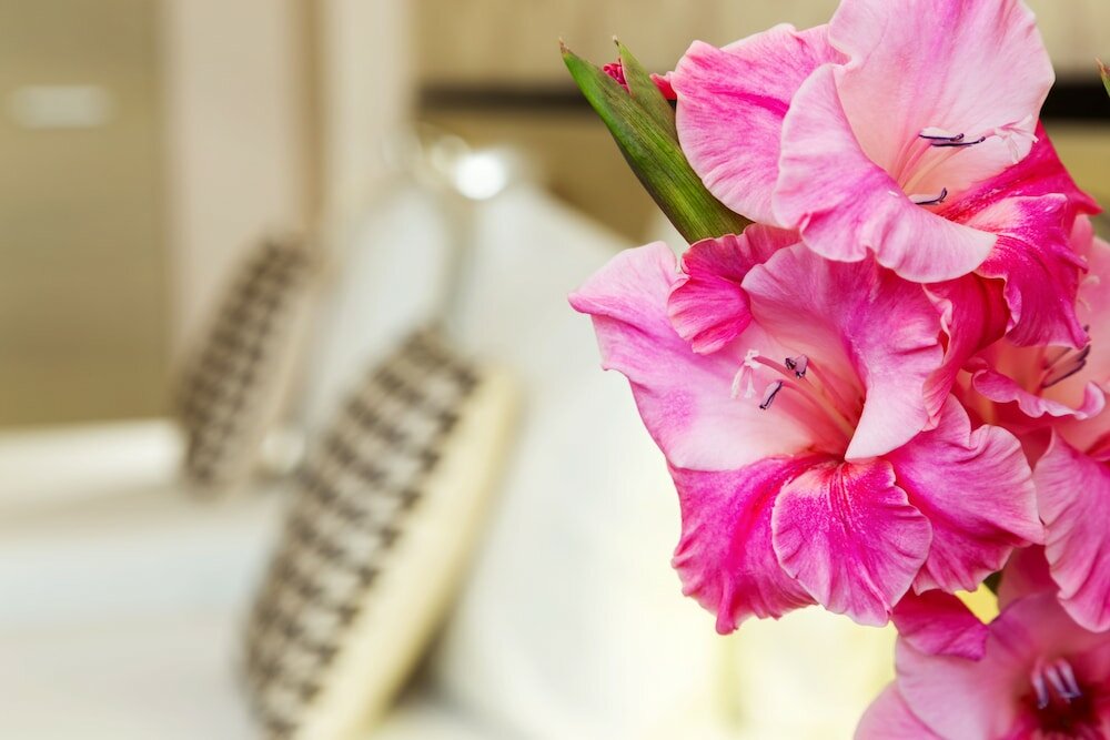 Фото City Avenue Hotel