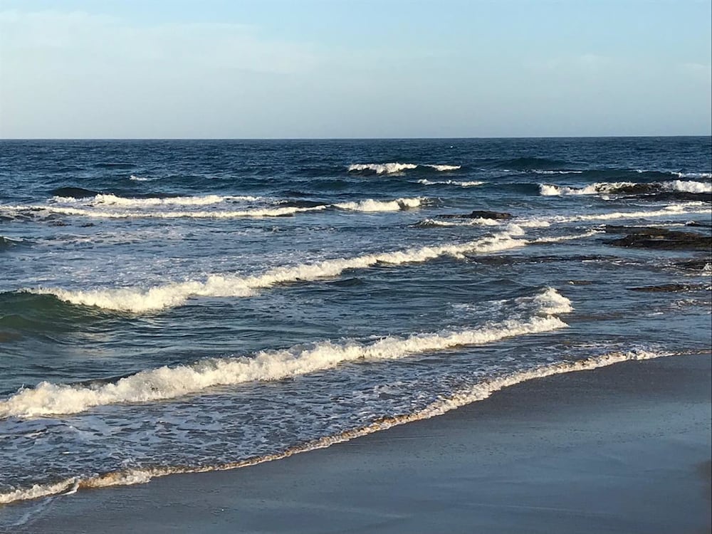 Фото Comfort Inn The International