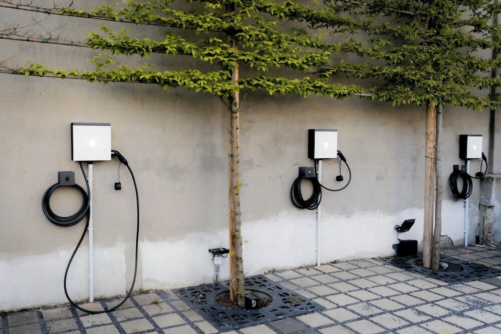 Фото Golden Tree Hotel