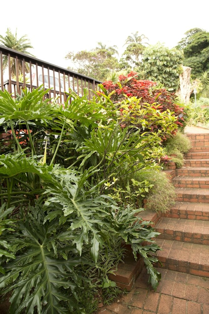 Фото Ridgeview Lodge