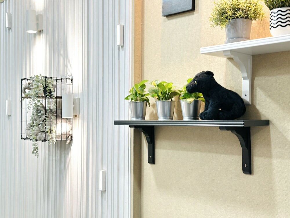 Фото Hotel Snow Lavender