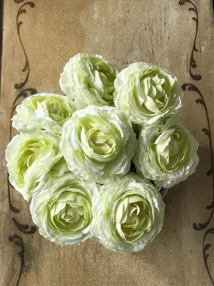 Фото The Music Fable