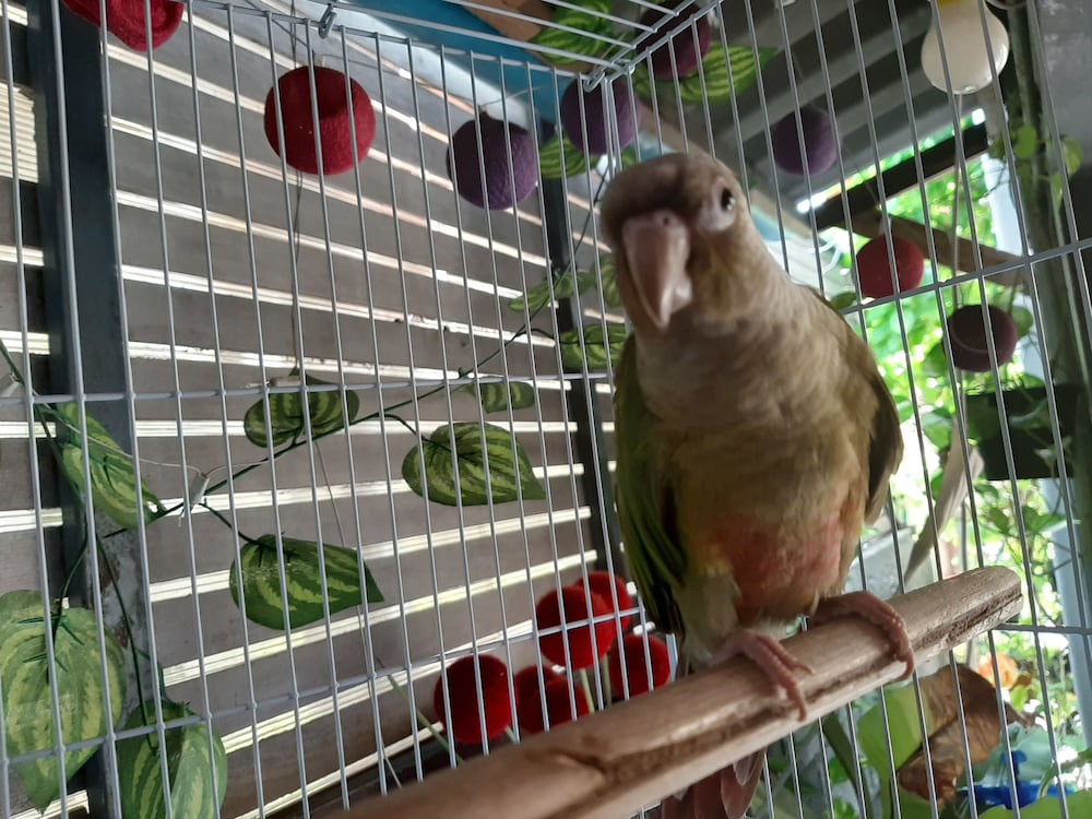 Фото Vanlisut Hotel