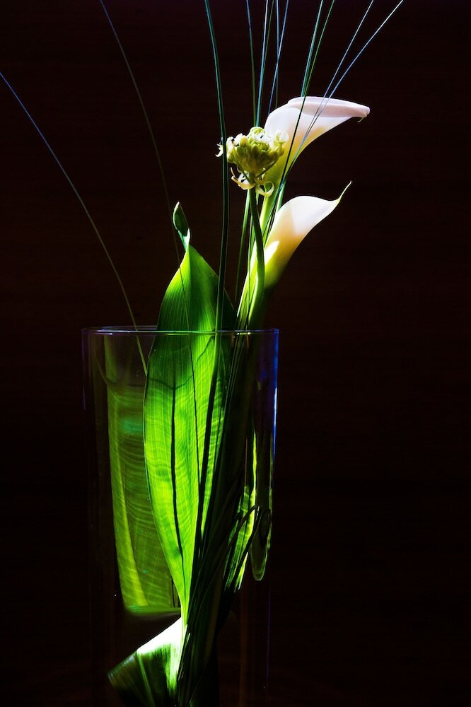 Фото The Penz Hotel