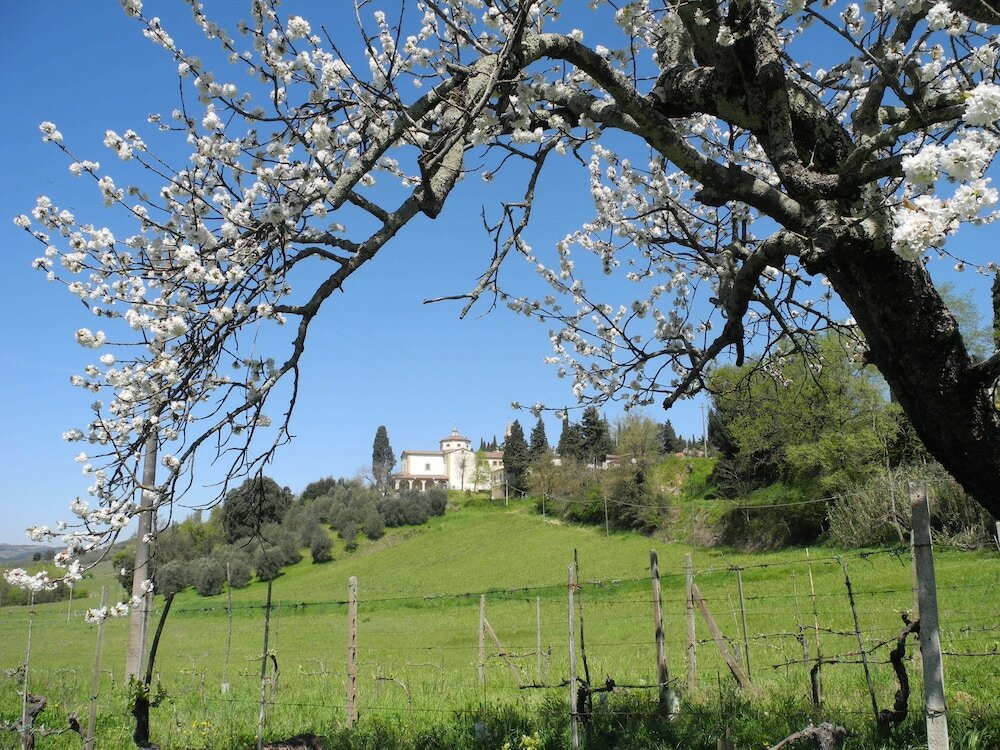 Фото Hotel Le Renaie