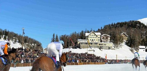 Внешний вид отеля Hotel Waldhaus am See в Са́нкт-Мо́рце, фото 5