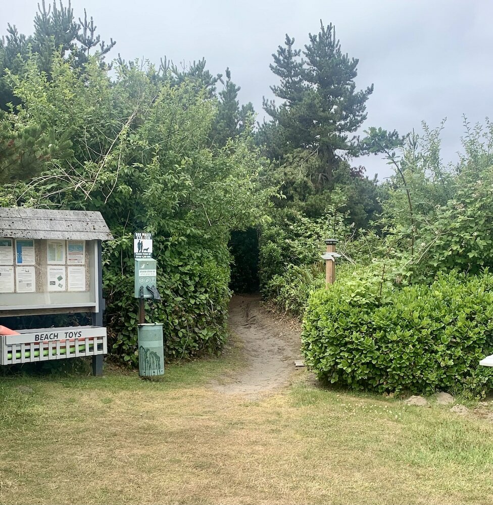 Фото The Grey Gull