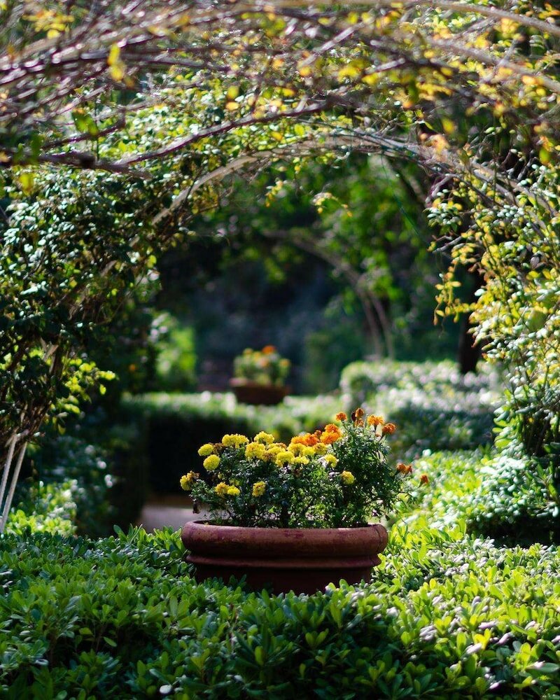 Фото Dionysos Hotel