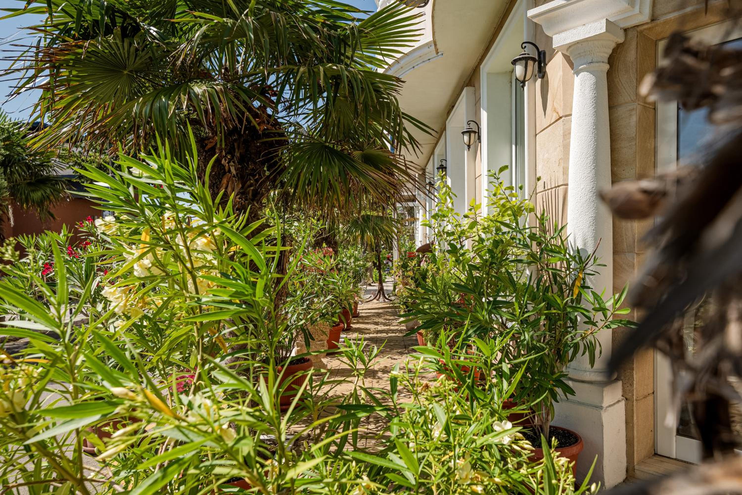 Фото Paros Hotel Pomirie Bulgaria