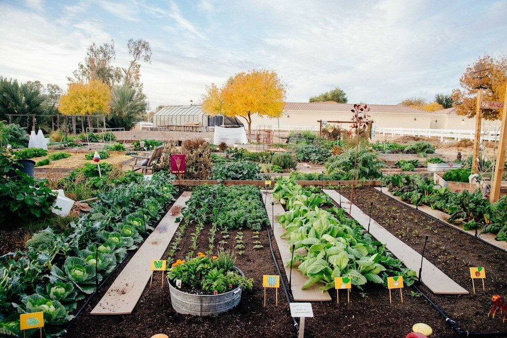 Фото Holiday Inn Express & Suites Phoenix East - Gilbert, an Ihg Hotel