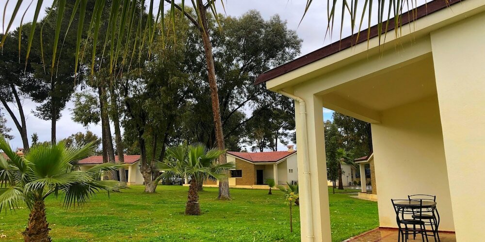 Фото Diamant Vert