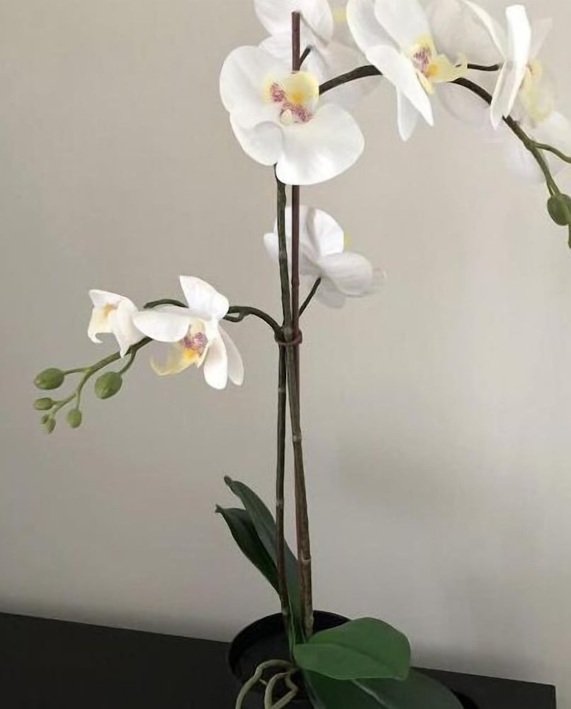 Фото B & B Raffaello