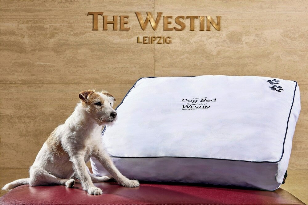 Фото The Westin Leipzig