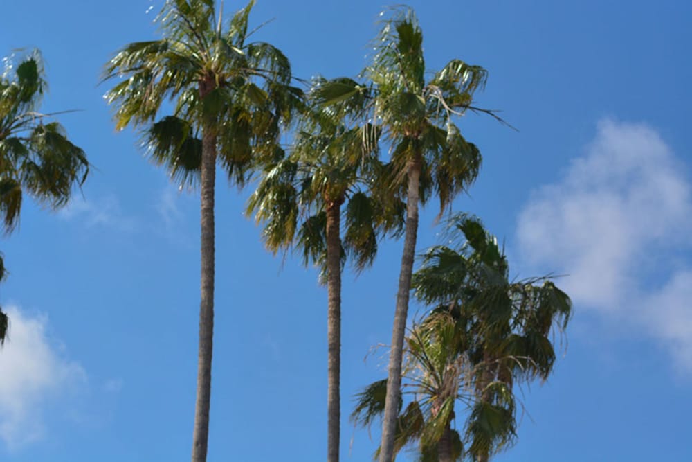 Фото ATH hôtel Athénée