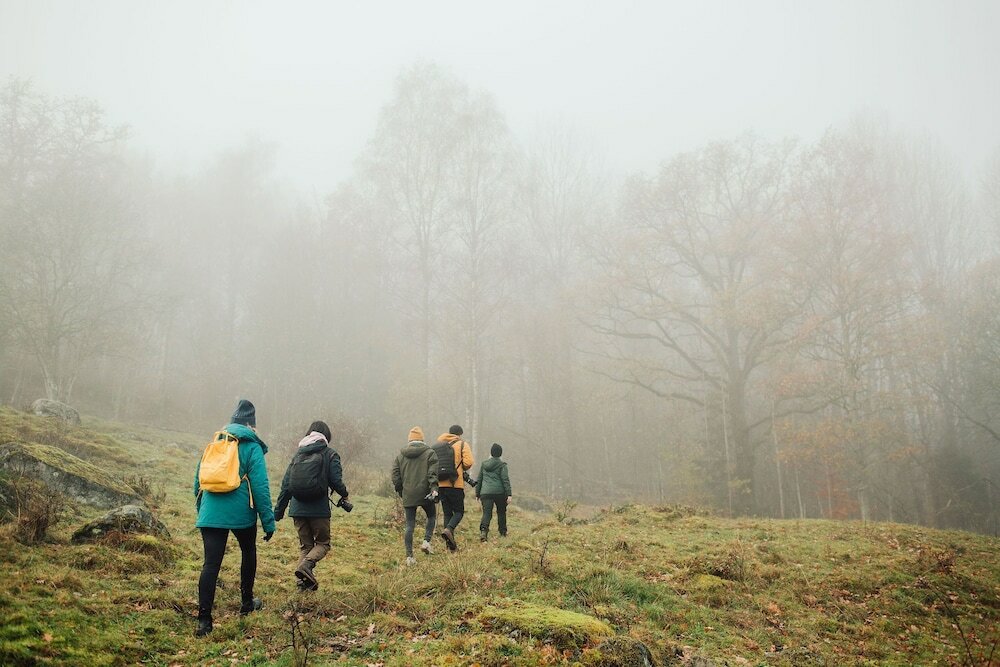 Фото Wallby Säteri