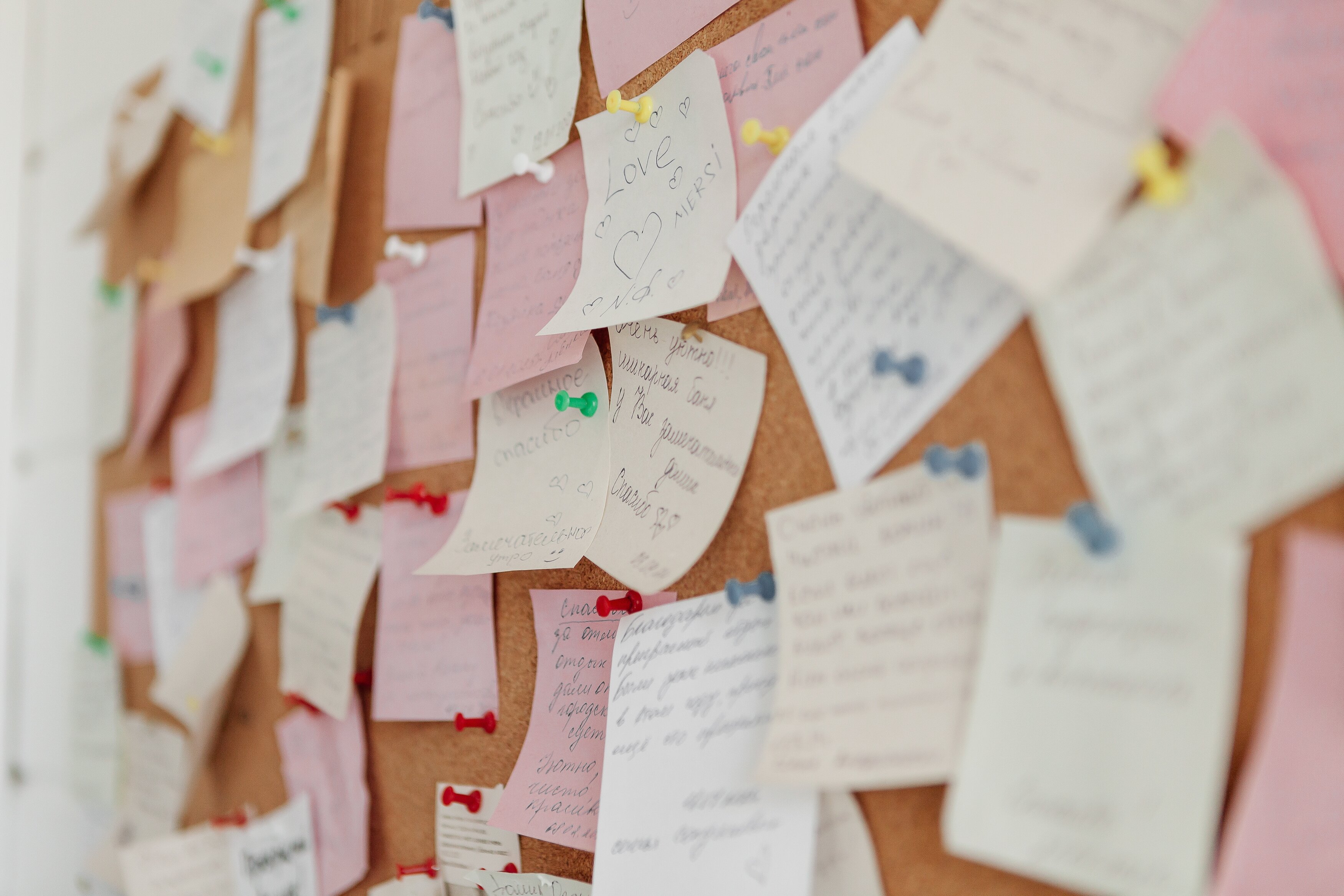 Фото Inles House