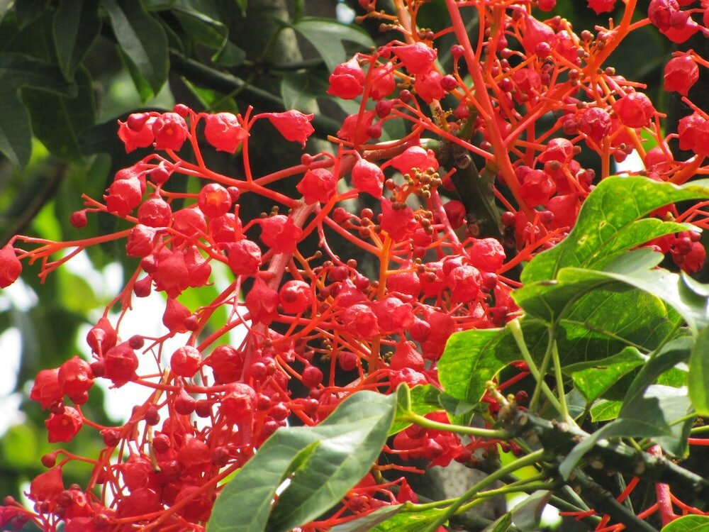 Фото Casa Do Jardim