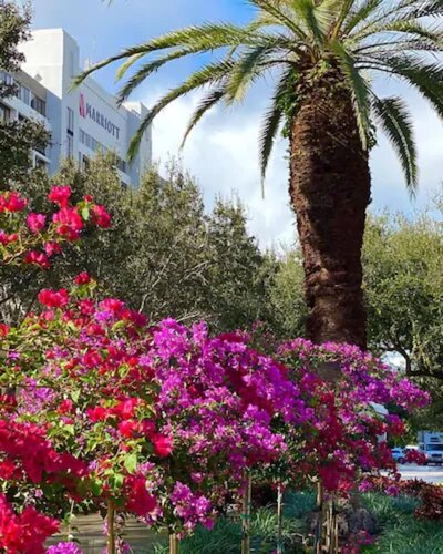 Гостиница Palm Beach Gardens Marriott в Джуно Бич
