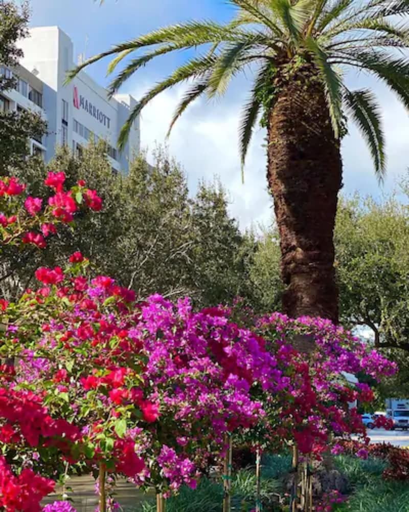 Фото Palm Beach Gardens Marriott