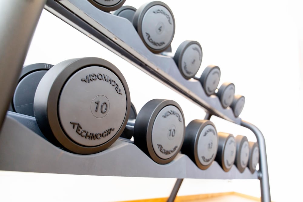 Фото The Royal Snail