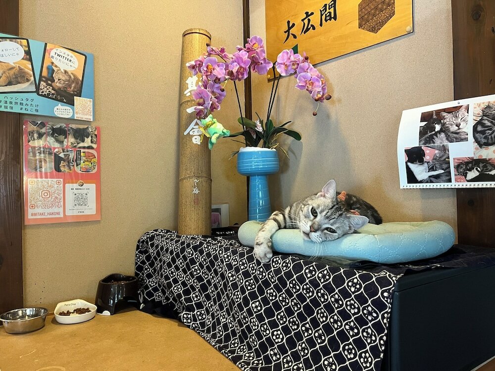 Фото Onsen Ryokan Mitake