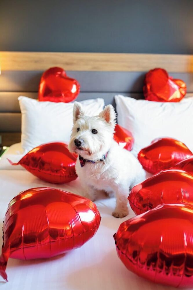 Фото Moxy Glasgow Sec