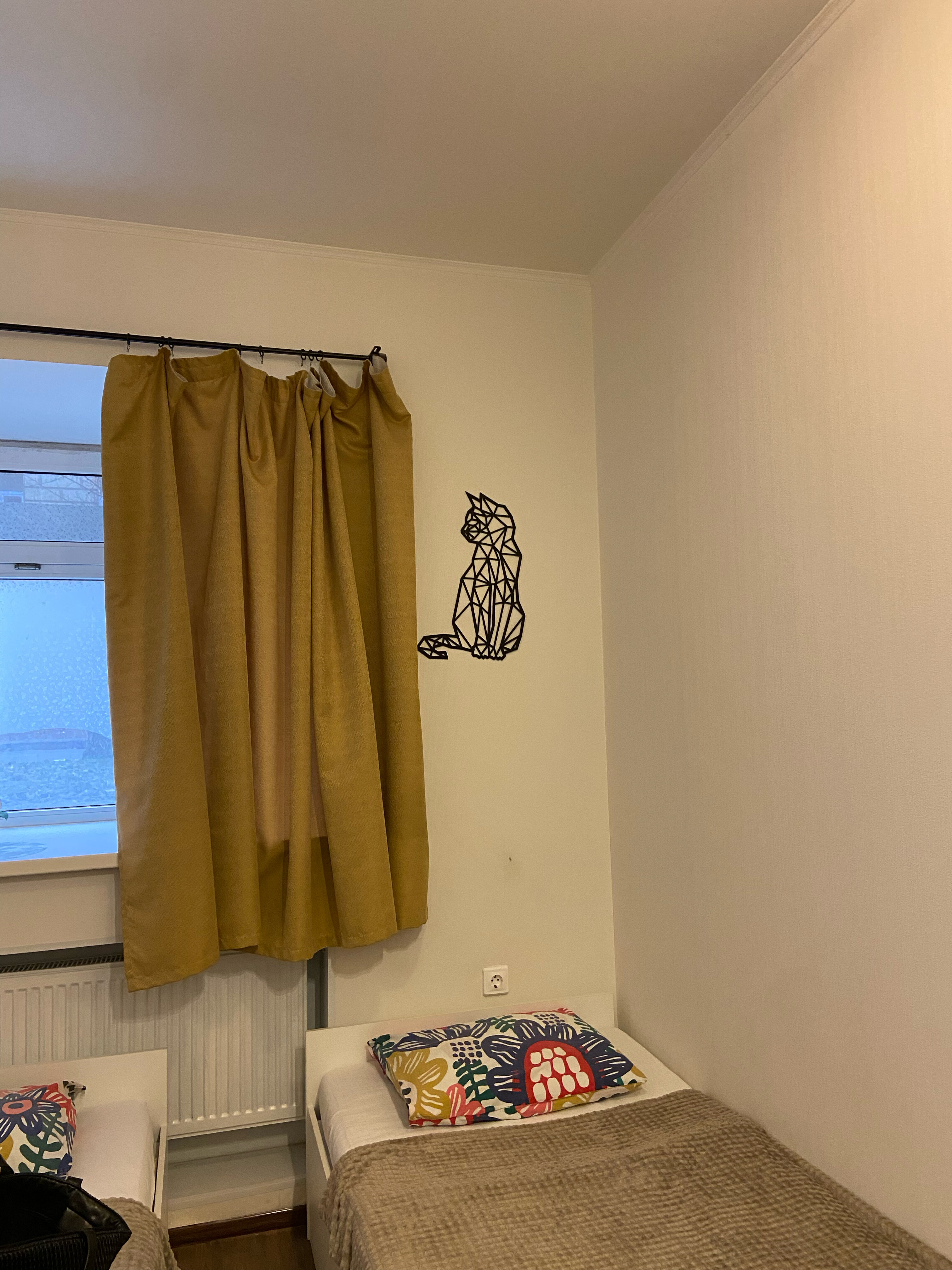 Фото Шевченко