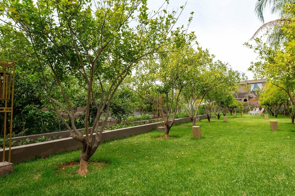 Фото The Lemonary Marrakech