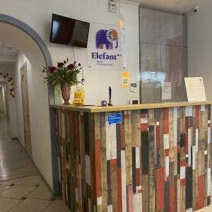 Фото Элефант