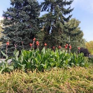 Фото Новокузнецкая