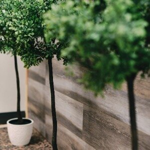 Фото Гуд Найт Румс энд Хостел