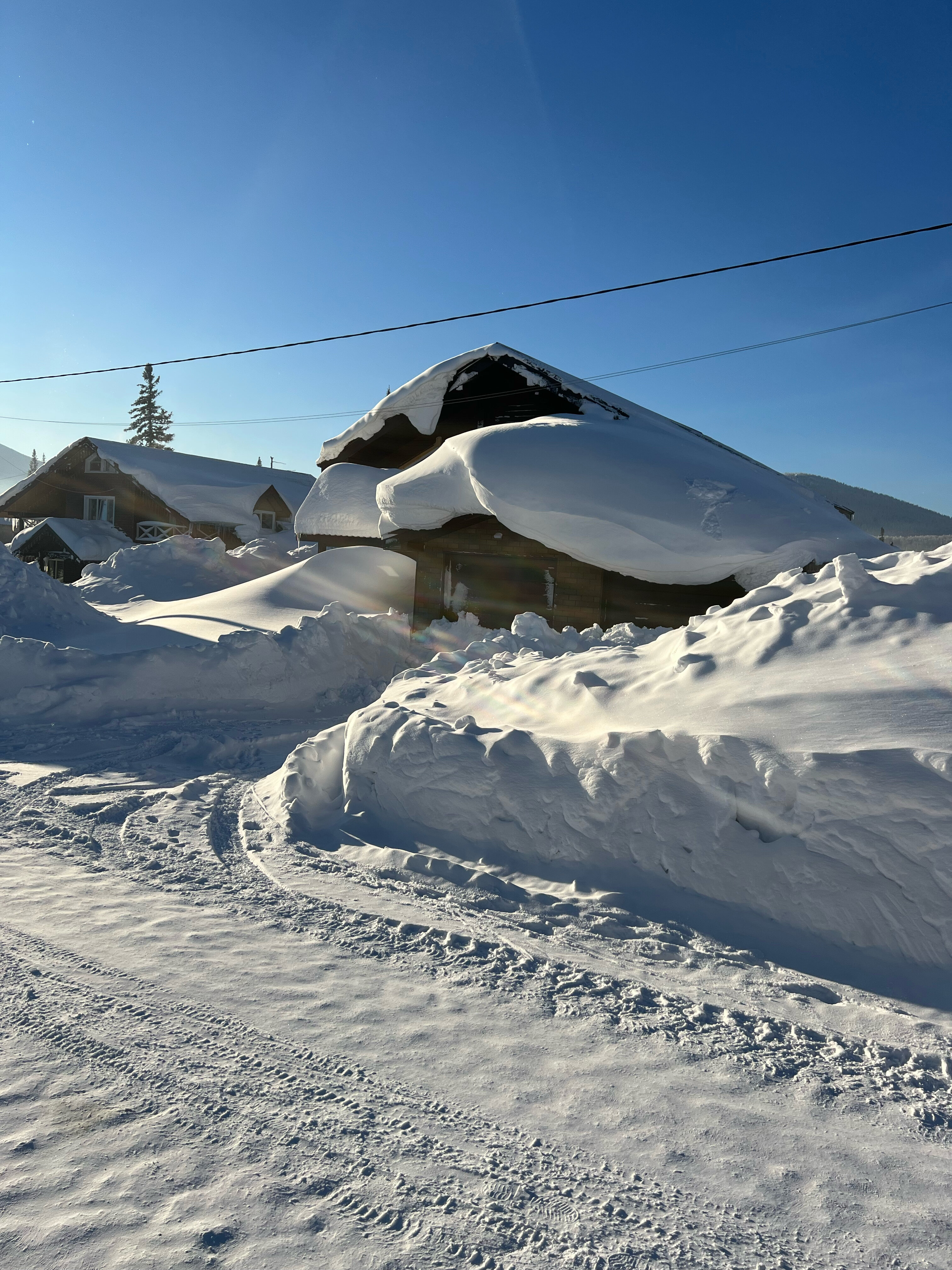 Фото Сканди