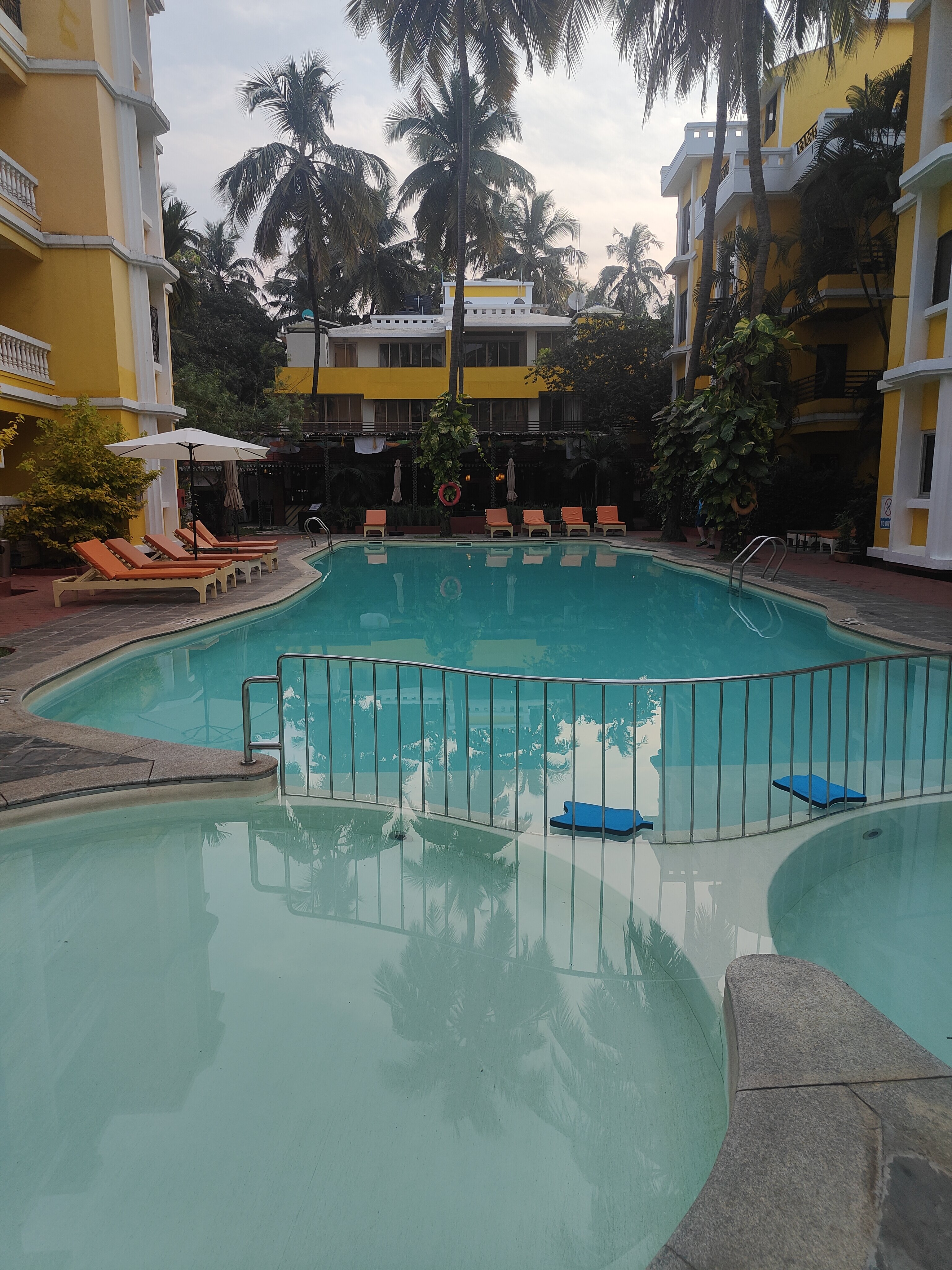 Фото Adamo The Bellus