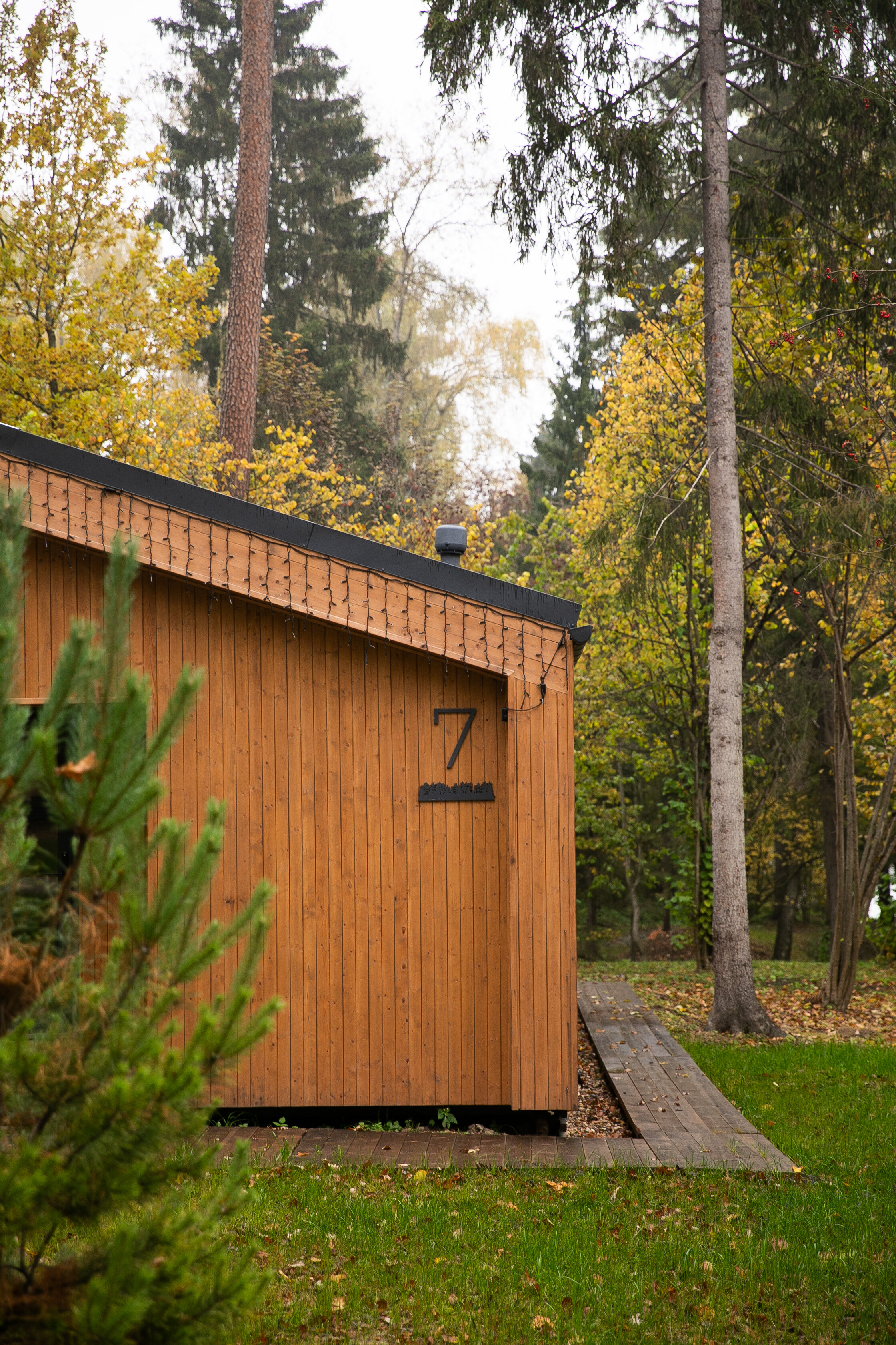 Фото Рябиновый берег