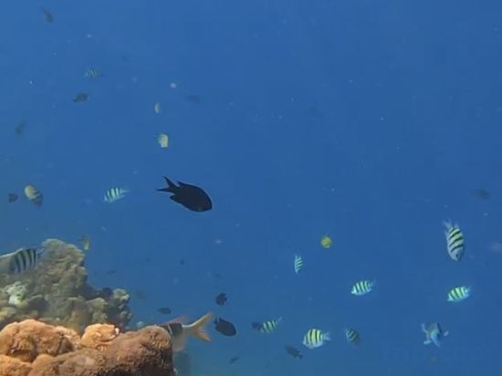 Фото ViluVeli Holiday Retreat