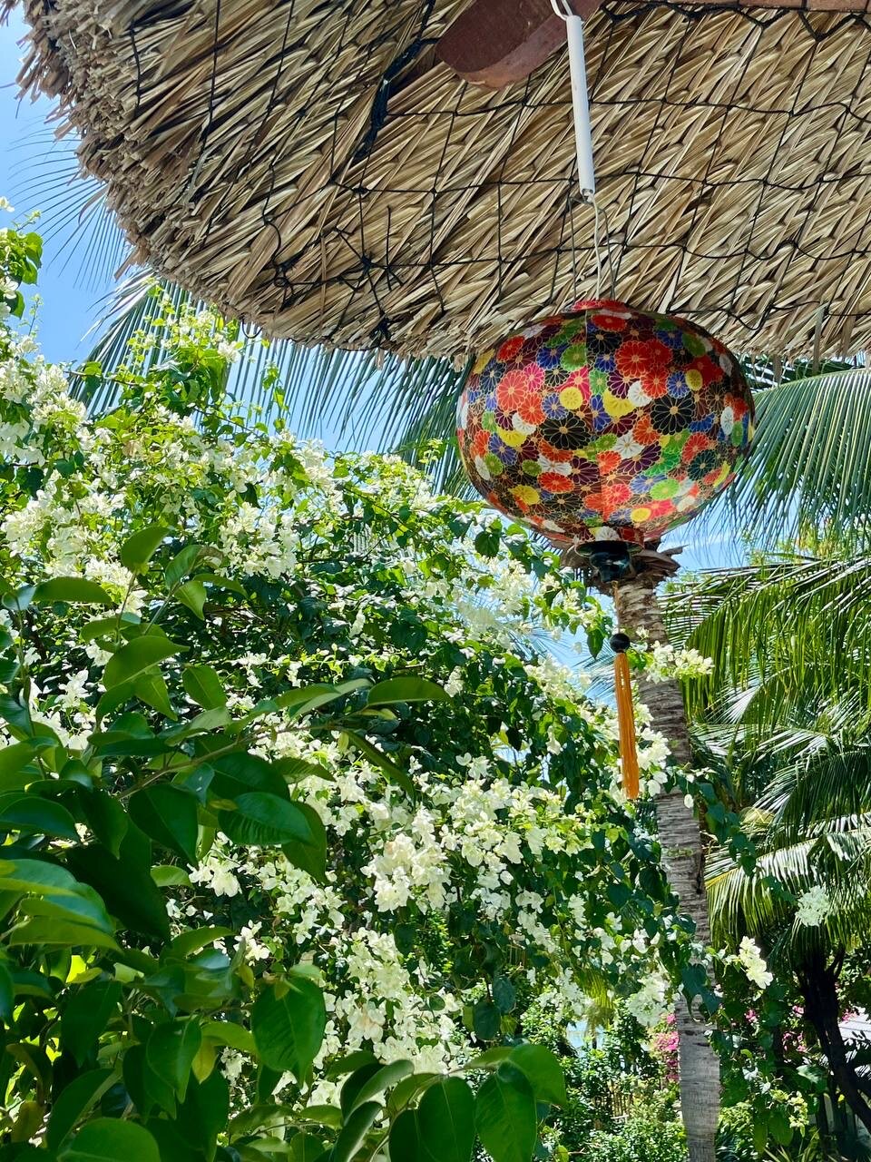 Фото The Cliff Resort & Residences