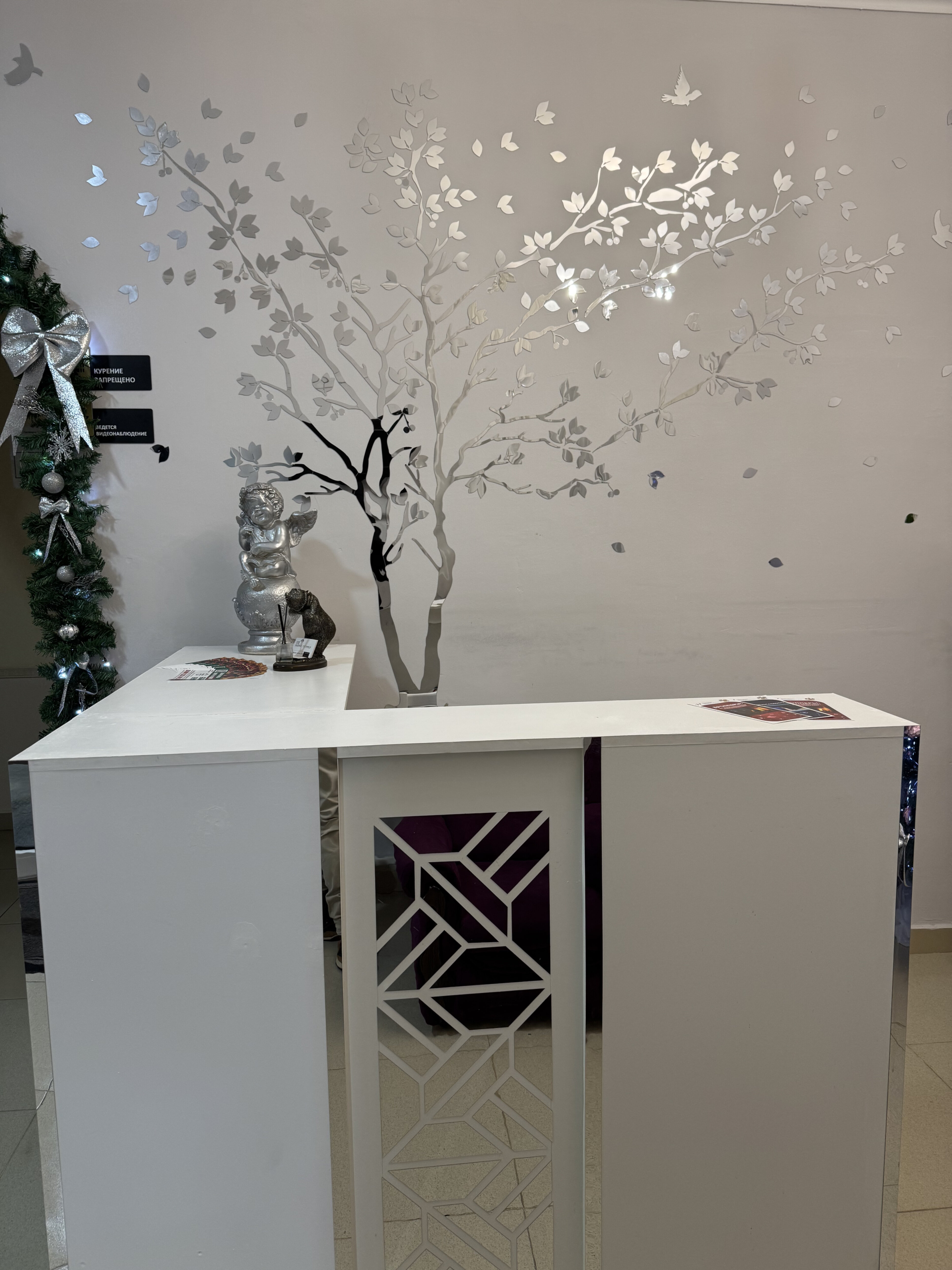 Фото Вишневый сад