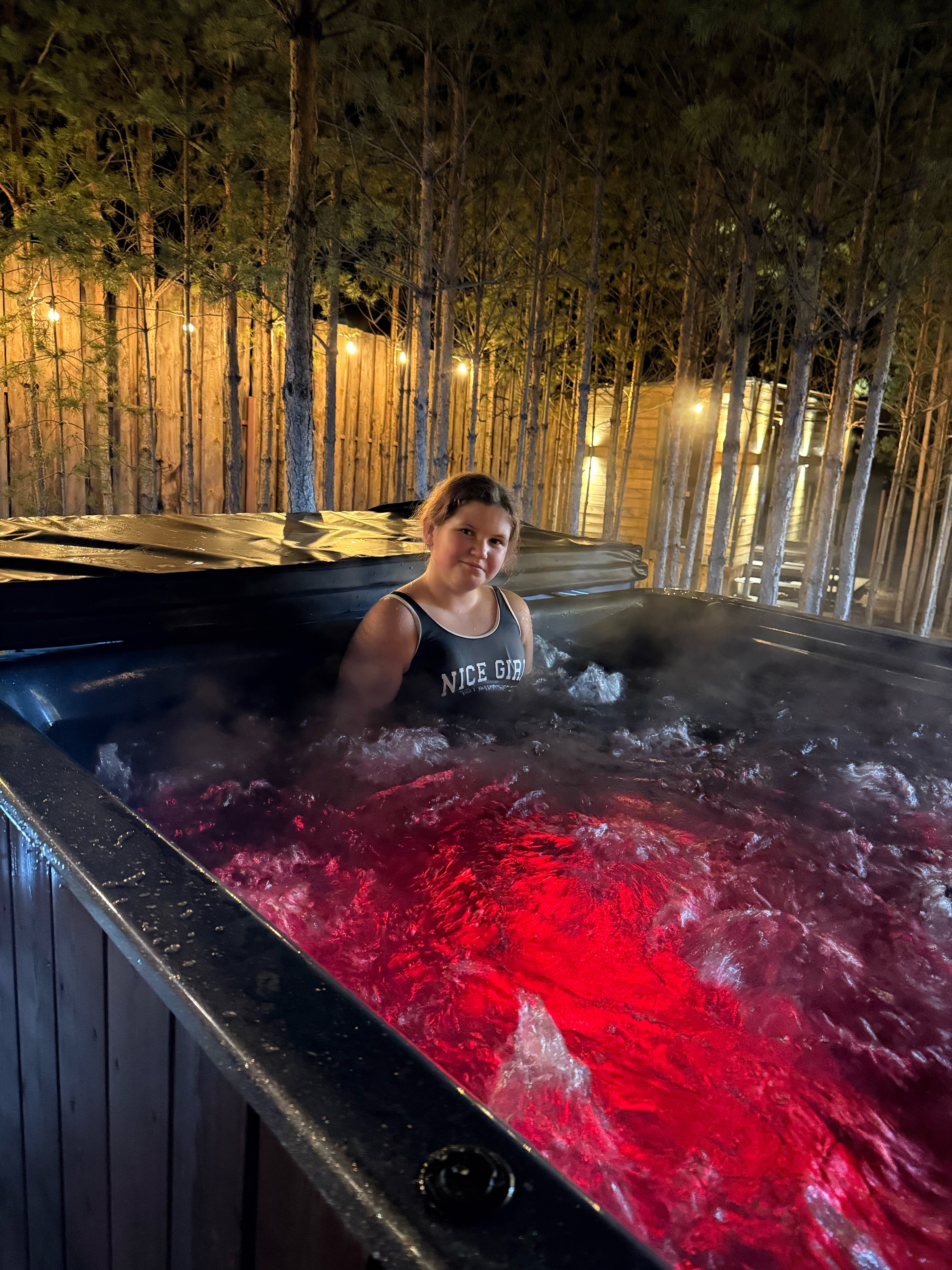 Фото Два Лося