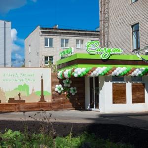 Фото Силуэт